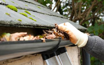gutter cleaning West Lydford, Somerset
