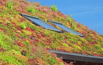 West Lydford living roof systems