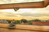 rated West Lydford roof window companies